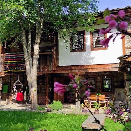 Kalinia Guesthouse B&B Kovačevica Exteriör bild