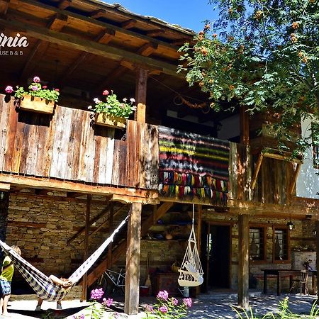 Kalinia Guesthouse B&B Kovačevica Exteriör bild