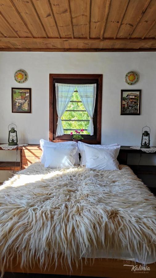 Kalinia Guesthouse B&B Kovačevica Exteriör bild