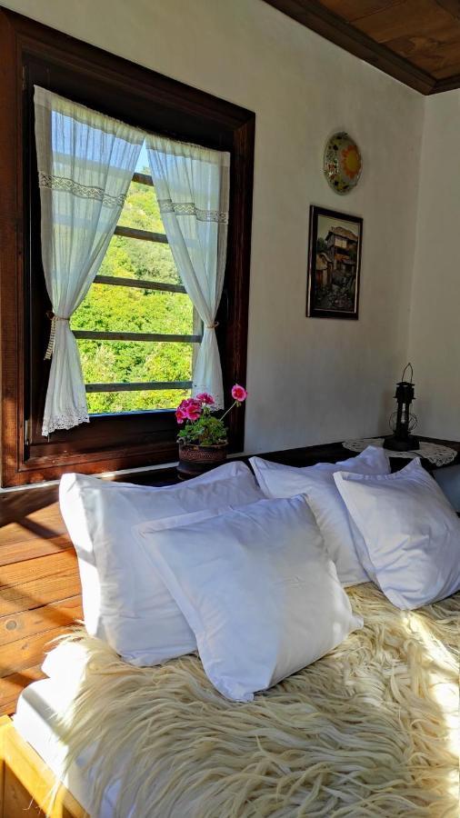 Kalinia Guesthouse B&B Kovačevica Exteriör bild