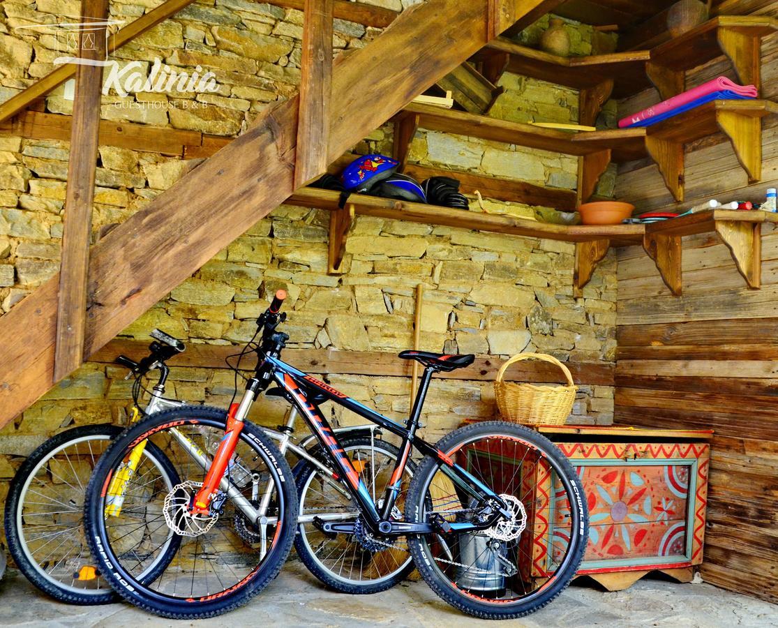 Kalinia Guesthouse B&B Kovačevica Exteriör bild