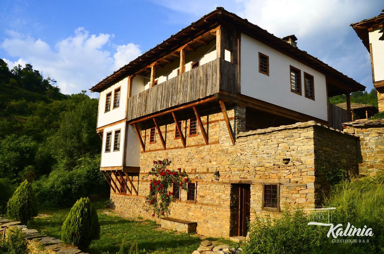 Kalinia Guesthouse B&B Kovačevica Exteriör bild
