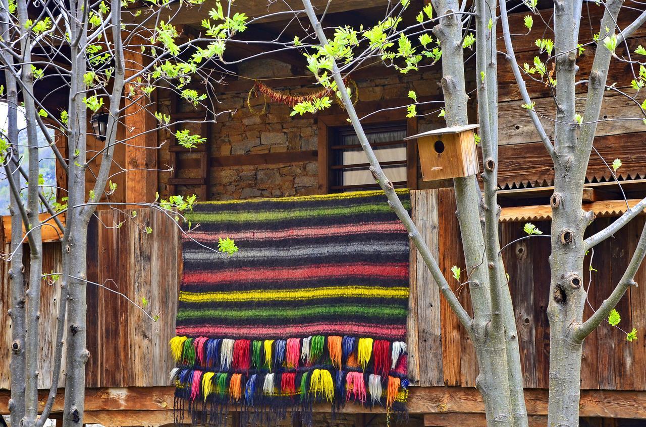 Kalinia Guesthouse B&B Kovačevica Exteriör bild