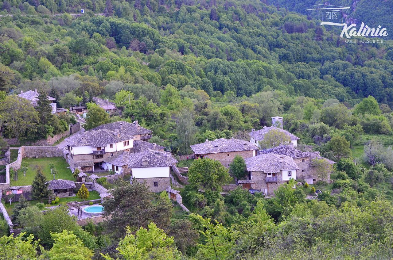Kalinia Guesthouse B&B Kovačevica Exteriör bild