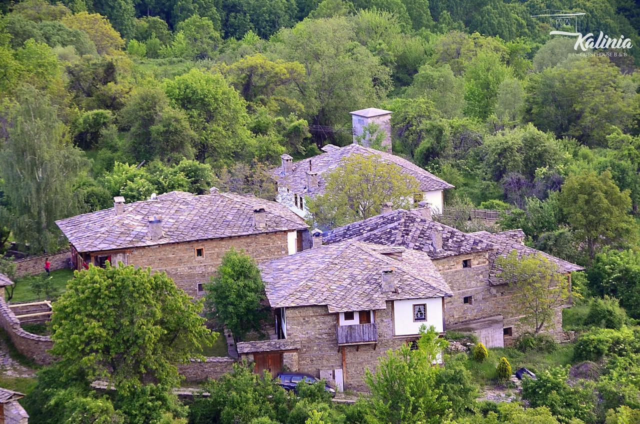 Kalinia Guesthouse B&B Kovačevica Exteriör bild
