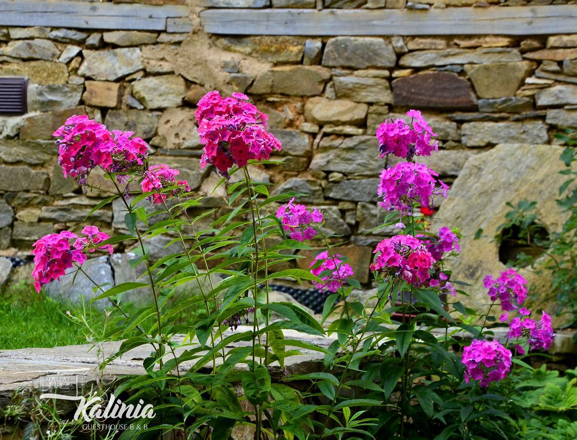 Kalinia Guesthouse B&B Kovačevica Exteriör bild