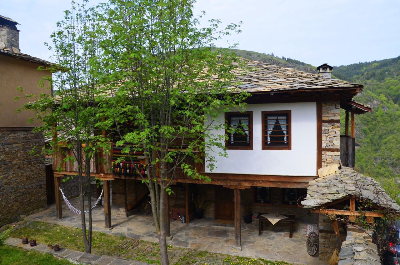 Kalinia Guesthouse B&B Kovačevica Exteriör bild