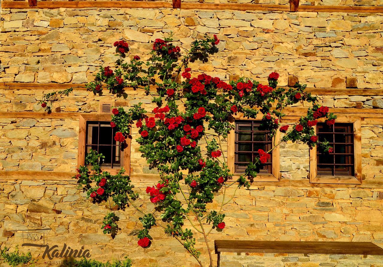 Kalinia Guesthouse B&B Kovačevica Exteriör bild