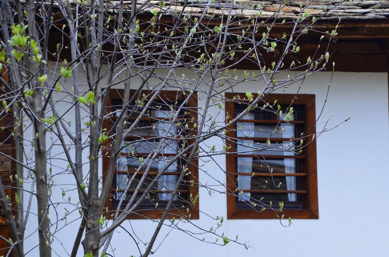 Kalinia Guesthouse B&B Kovačevica Exteriör bild