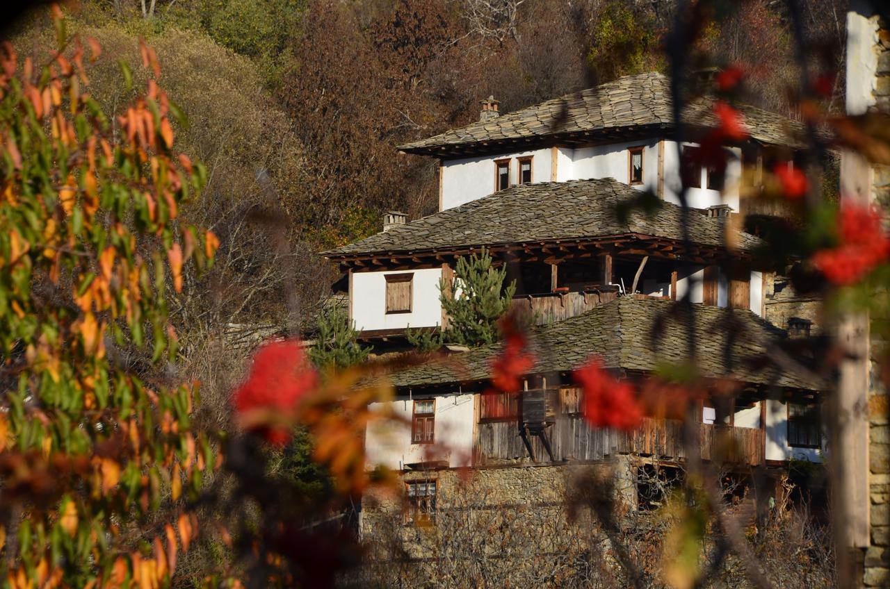 Kalinia Guesthouse B&B Kovačevica Exteriör bild
