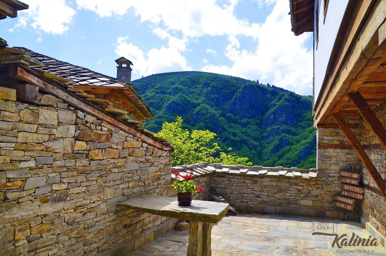 Kalinia Guesthouse B&B Kovačevica Exteriör bild