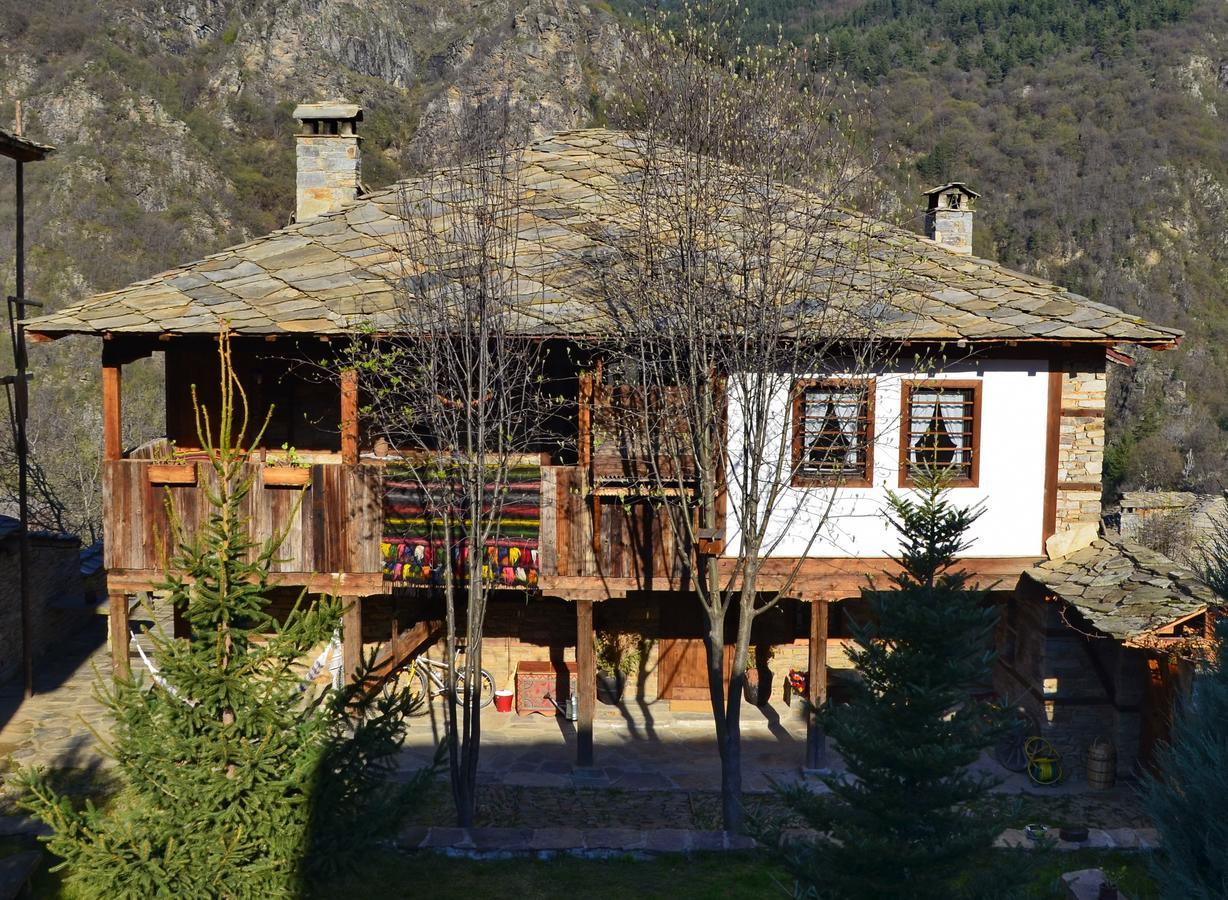 Kalinia Guesthouse B&B Kovačevica Exteriör bild
