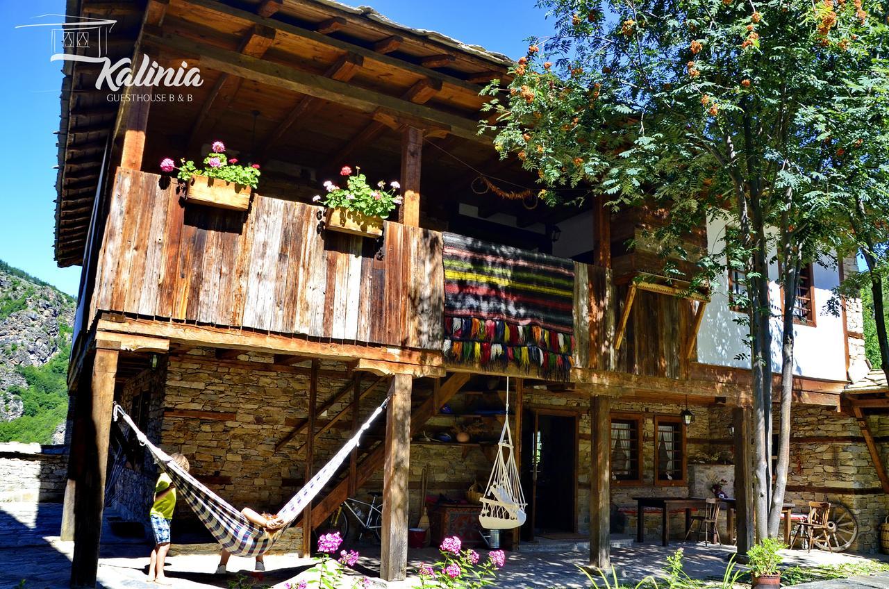 Kalinia Guesthouse B&B Kovačevica Exteriör bild