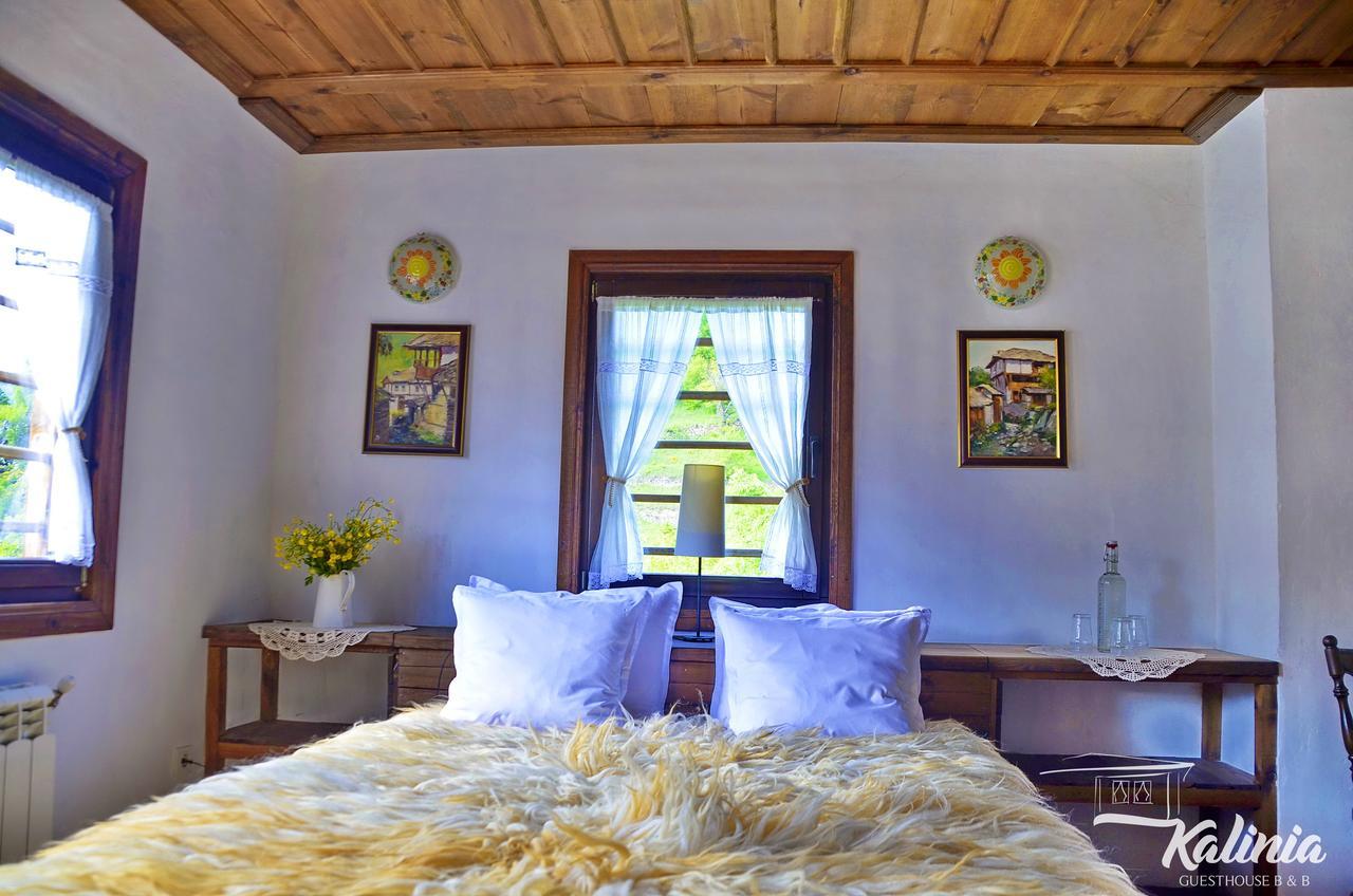 Kalinia Guesthouse B&B Kovačevica Exteriör bild